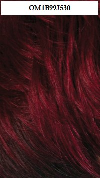 OM1B99J530